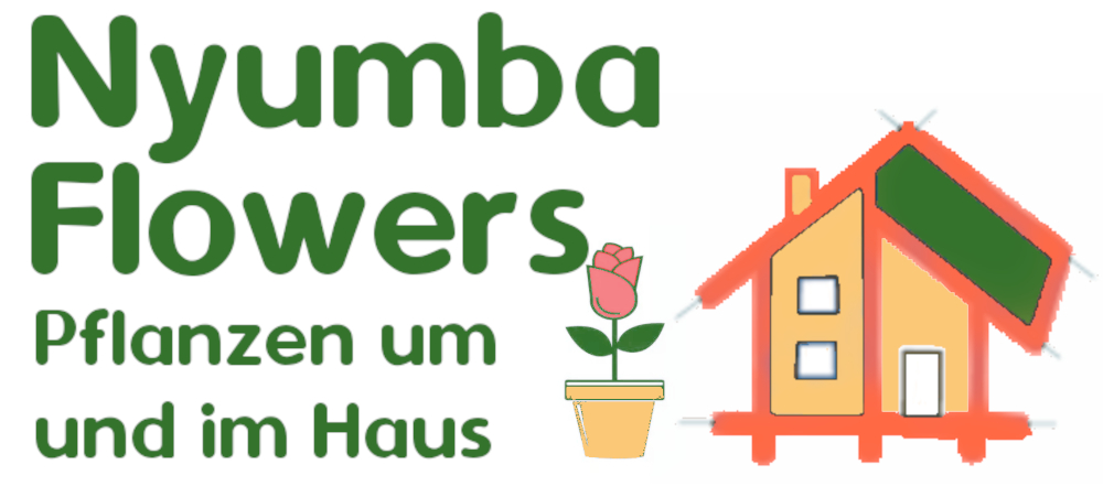 Nyumba-Flowers Startseite 