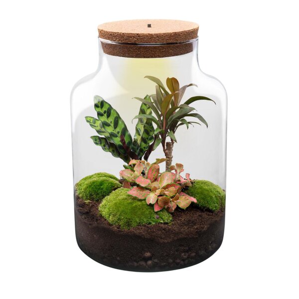 Flaschengarten Milky – DIY-Set Ø 21 cm × H 30 cm