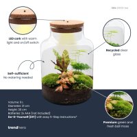 Flaschengarten Milky – DIY-Set Ø 21 cm × H 30 cm