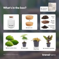 Flaschengarten Milky – DIY-Set Ø 21 cm × H 30 cm