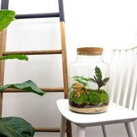 Flaschengarten Milky – DIY-Set Ø 21 cm × H 30 cm