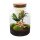Flaschengarten Milky – DIY-Set Ø 21 cm × H 30 cm