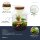 Flaschengarten Milky – DIY-Set Ø 21 cm × H 30 cm