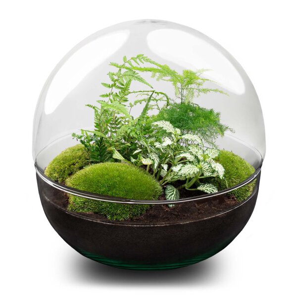 Flaschengarten - Dome XL - ↕ 30 cm