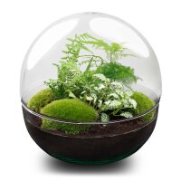 Flaschengarten - Dome XL - ↕ 30 cm