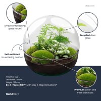 Flaschengarten - Dome XL - ↕ 30 cm