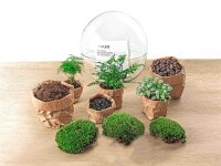 Flaschengarten - Dome XL - ↕ 30 cm