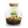 Flaschengarten - Little Joe - ↕ 21,5 cm - Normal