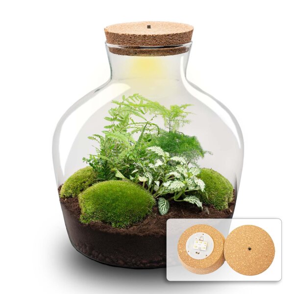Flaschengarten - Fat Joe grün - ↕ 30 cm