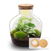 Flaschengarten - Fat Joe grün - ↕ 30 cm