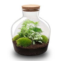 Flaschengarten - Fat Joe grün - ↕ 30 cm
