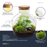 Flaschengarten - Fat Joe grün - ↕ 30 cm