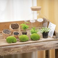 Flaschengarten - Fat Joe grün - ↕ 30 cm