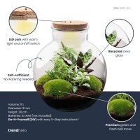 Flaschengarten - Bolder Bob - ↕ 30 cm - mit LED-Korken