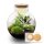 Flaschengarten - Bolder Bob - ↕ 30 cm - mit LED-Korken