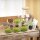 Flaschengarten - Bolder Bob - ↕ 30 cm - mit LED-Korken
