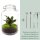 Flaschengarten Calathea 28 cm Terrarium-Set