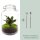 Flaschengarten Calathea 28 cm Terrarium-Set