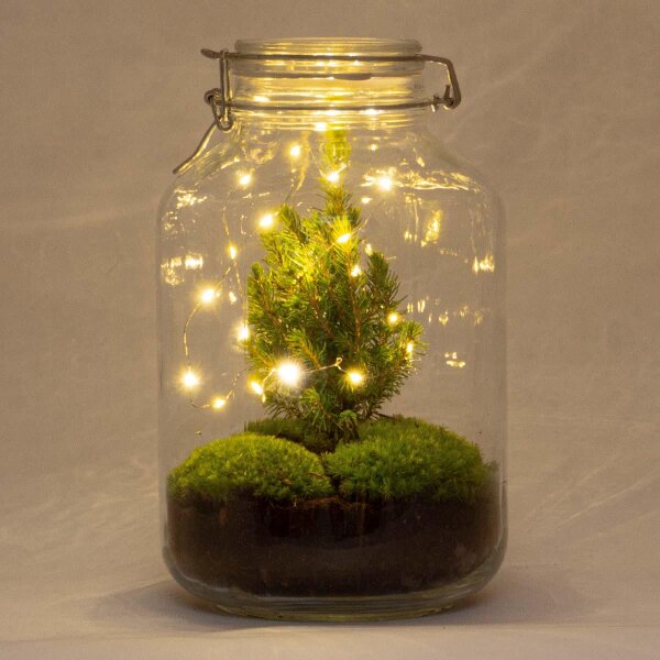 DIY Flaschengarten - Jar Christma - ↕ 28 cm