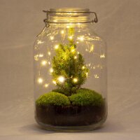 DIY Flaschengarten - Jar Christma - ↕ 28 cm