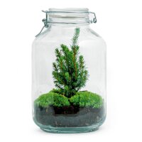 DIY Flaschengarten - Jar Christma - ↕ 28 cm