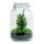 DIY Flaschengarten - Jar Christma - ↕ 28 cm