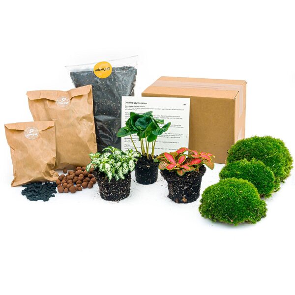 Flaschengarten Paket Coffea Arabica