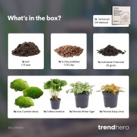 Flaschengarten Paket Coffea Arabica