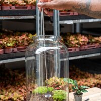 Flaschengarten-Werkzeug – Harke – 16–49 cm – Teleskop – Edelstahl - Terrarium Werkzeug