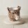 Pflanzentopf Giraffe D11/14x11cm - Braun - D11/14x11cm