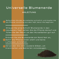 Universelle Blumenerde 30 Liter – Für Zimmer- und Gartenpflanzen